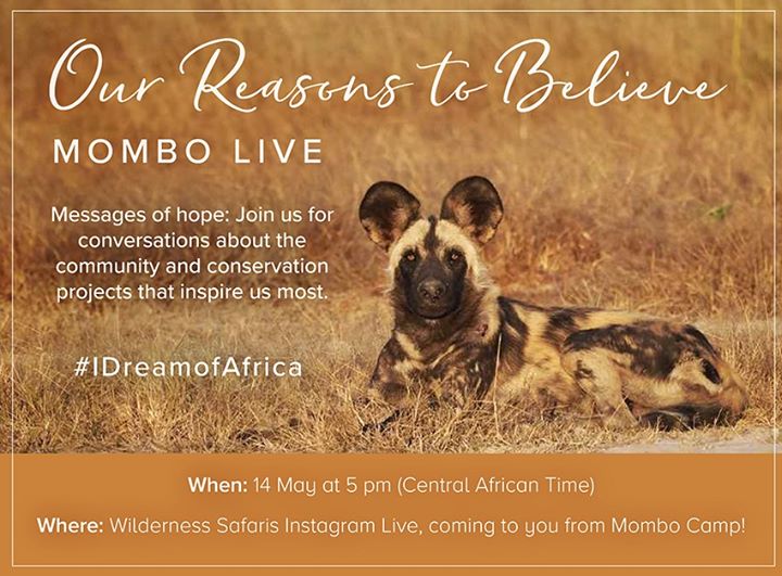 We’re once again inviting you to join us at Mombo – this time on our Wilderness Safaris Instagram. This week we are chatting about our Reasons to Believe – the conservation and community projects that inspire us most! 
Visit our Instagram page on Thursday, 14 May, at 5 pm (Central African Time) to be part of this live conversation. 
Visit: https://www.instagram.com/wearewilderness/